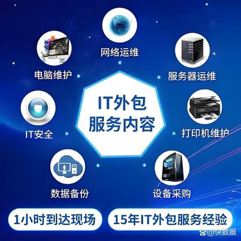 企业信息化：迈向高效管理的阶梯